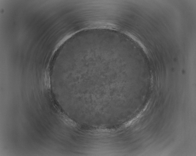 X0000051890925200506241345