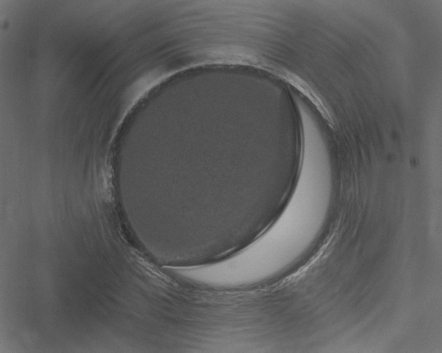 X0000051890926200506241345