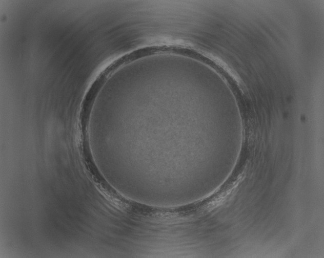 X0000051890927200506241345