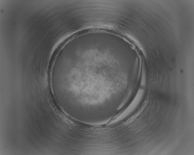 X0000051890928200506241345