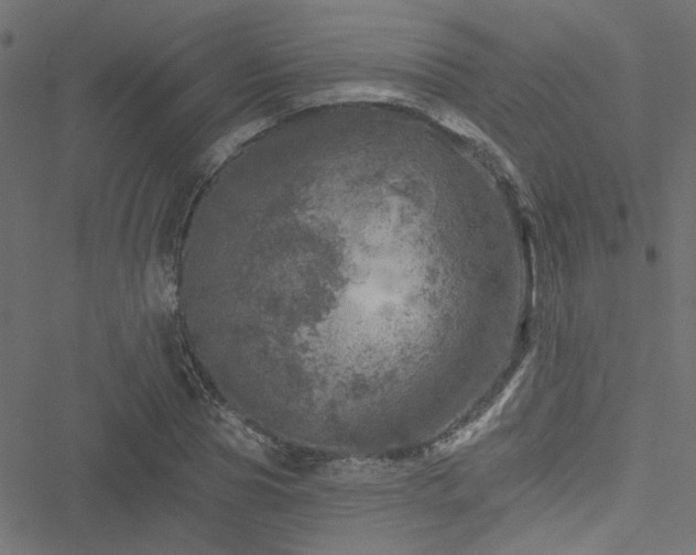 X0000051890929200506241345