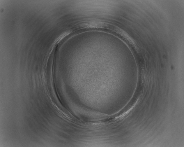 X0000051890930200506241345