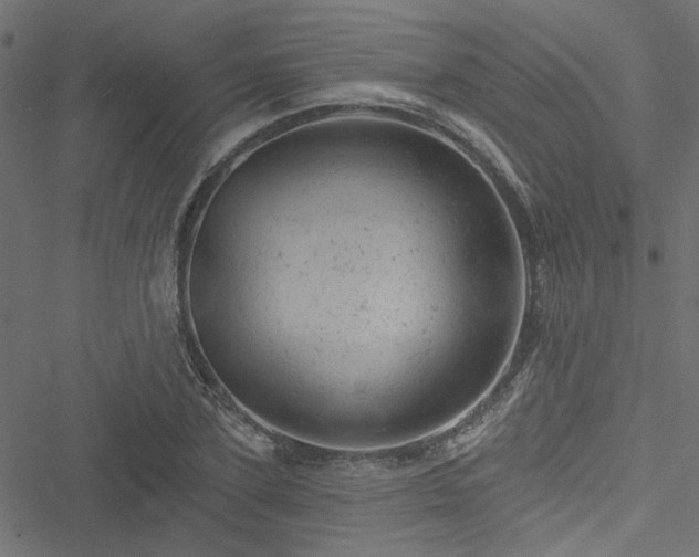 X0000051890931200506241345