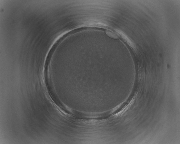 X0000051890932200506241345