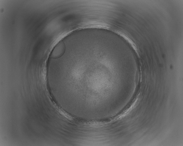 X0000051890933200506241345