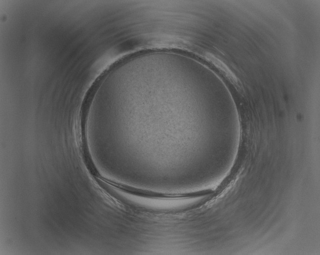 X0000051890934200506241345