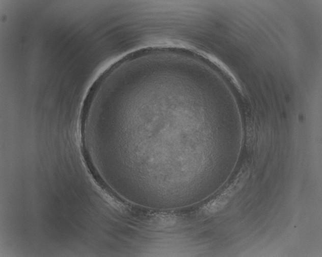 X0000051890935200506241345