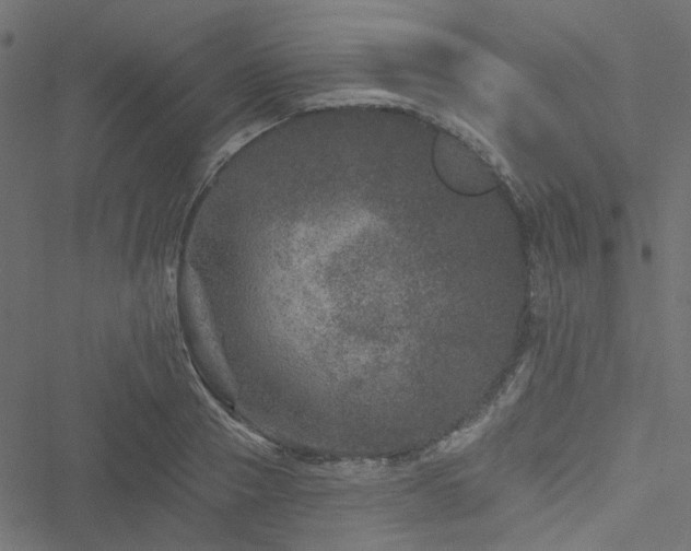 X0000051890937200506241345