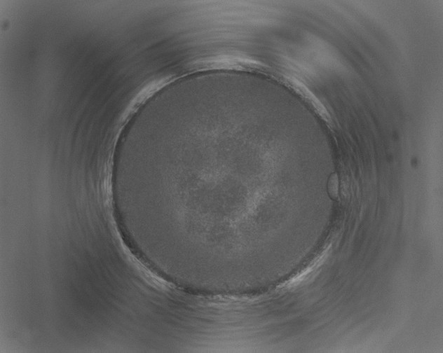 X0000051890938200506241345