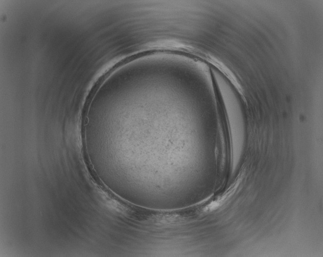 X0000051890939200506241345