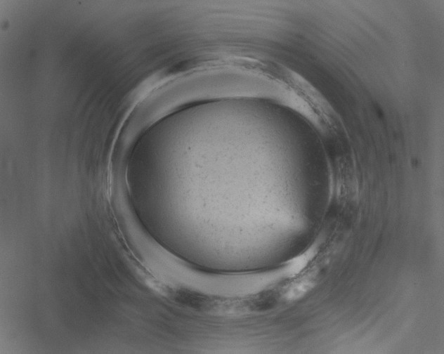 X0000051890940200506241345