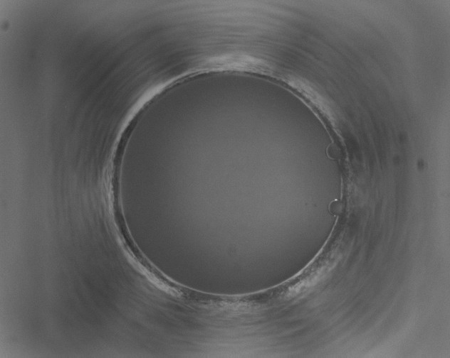 X0000051890941200506241345