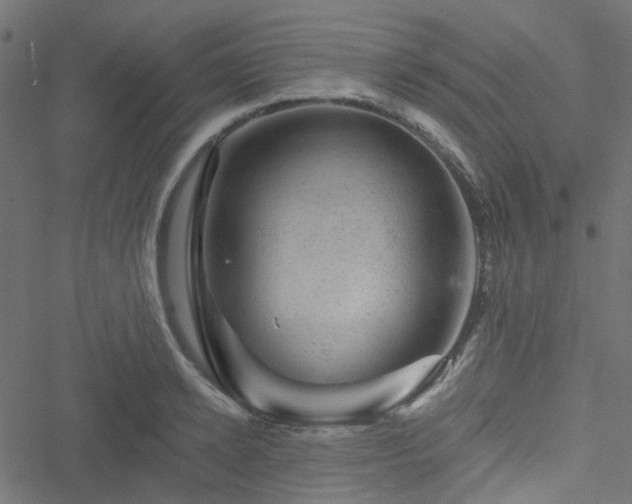 X0000051890942200506241345