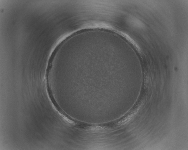 X0000051890943200506241345