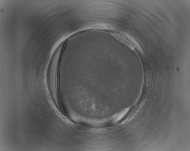 X0000051890944200506241345