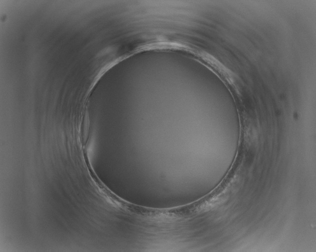 X0000051890945200506241345