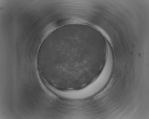 X0000051890946200506241345