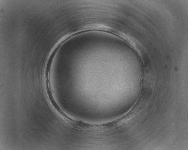 X0000051890947200506241345