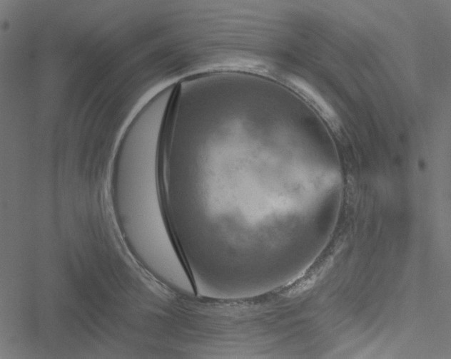 X0000051890948200506241345