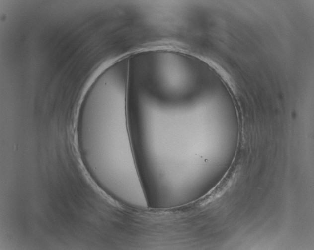 X0000051890949200506241346