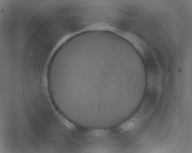 X0000051890950200506241346