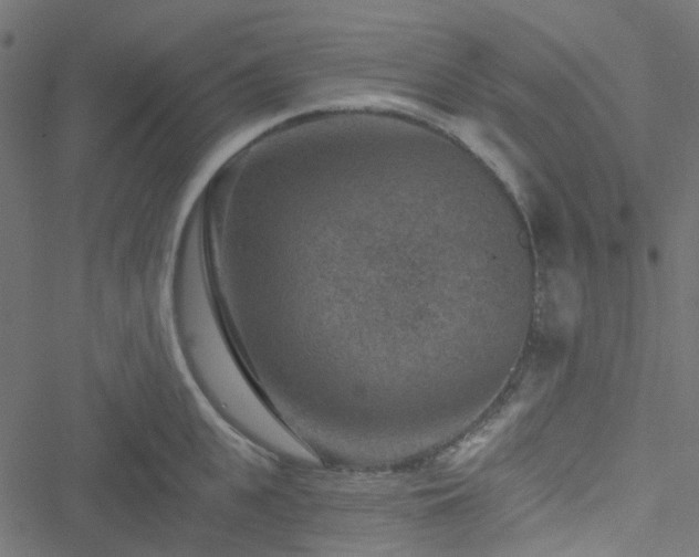 X0000051890951200506241346