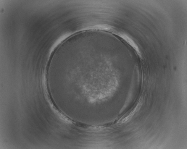 X0000051890952200506241346