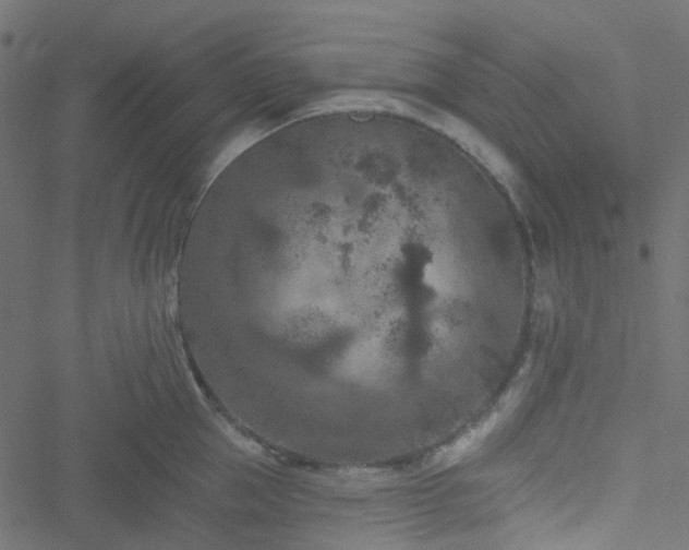 X0000051890953200506241346