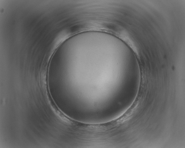 X0000051890954200506241346