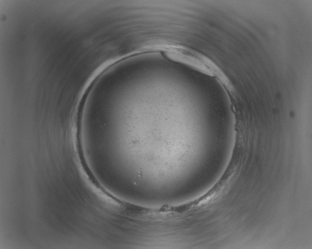 X0000051890955200506241346