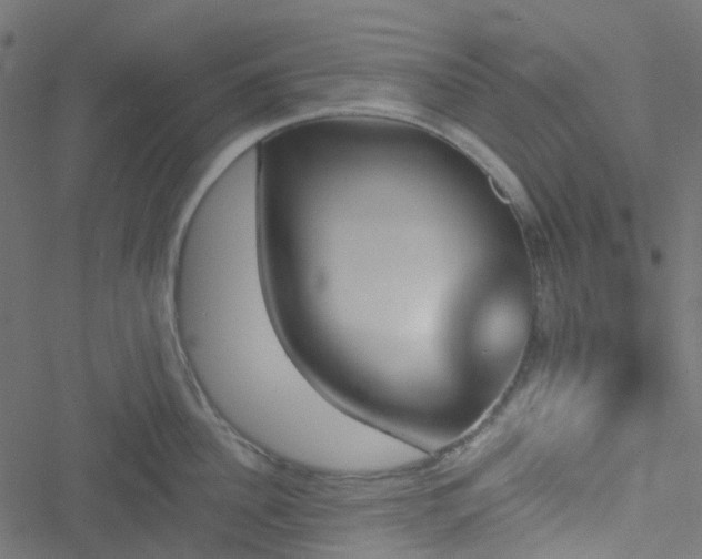 X0000051890956200506241346