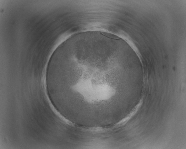 X0000051890957200506241346