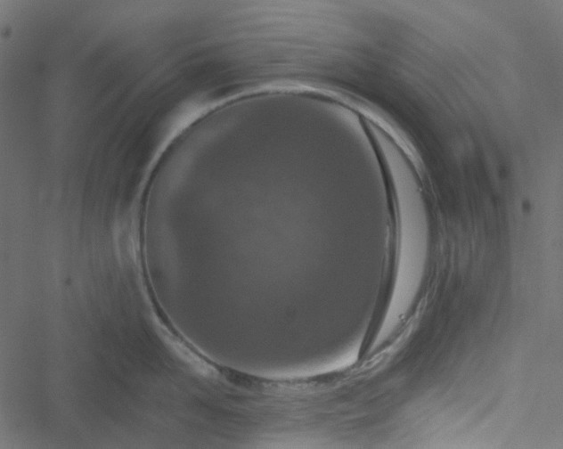 X0000051890958200506241346