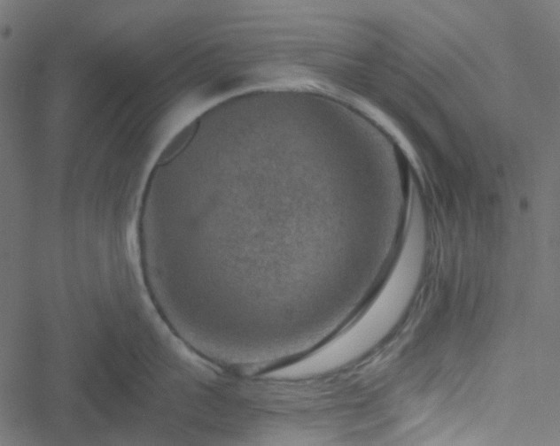 X0000051890959200506241346