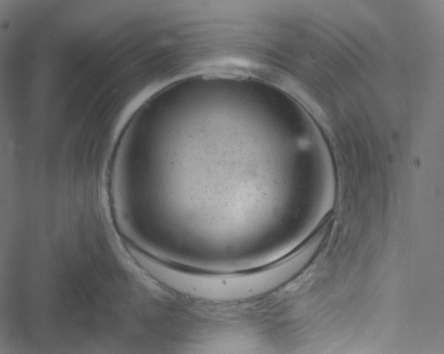 X0000051890960200506241346