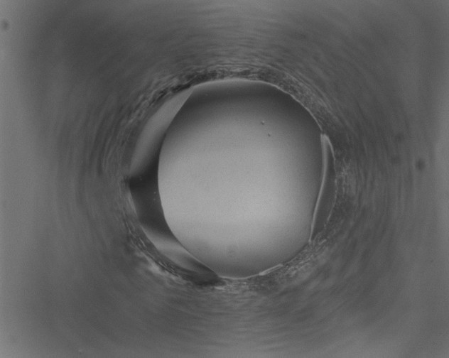 X0000051890961200506241345