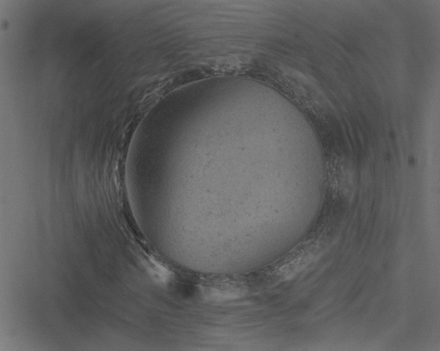 X0000051890962200506241345