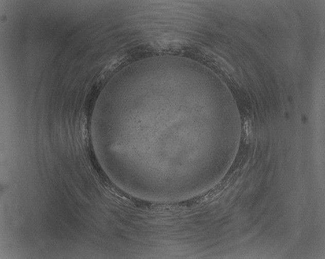 X0000051890963200506241345