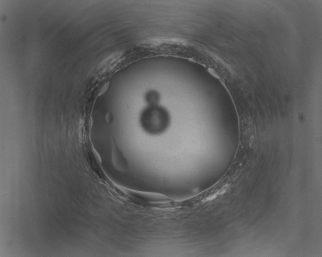 X0000051890965200506241345