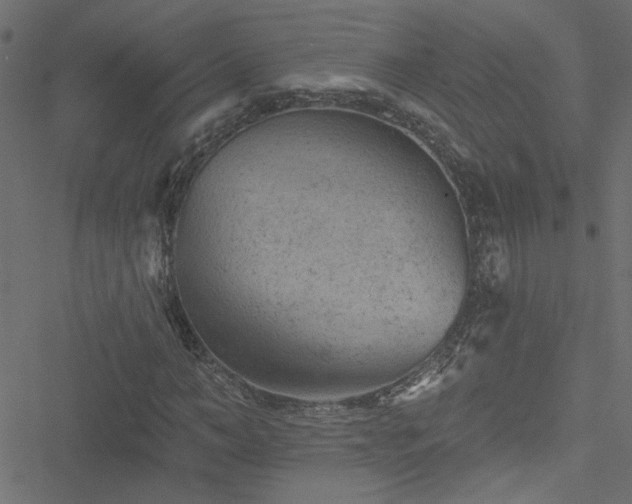 X0000051890966200506241345