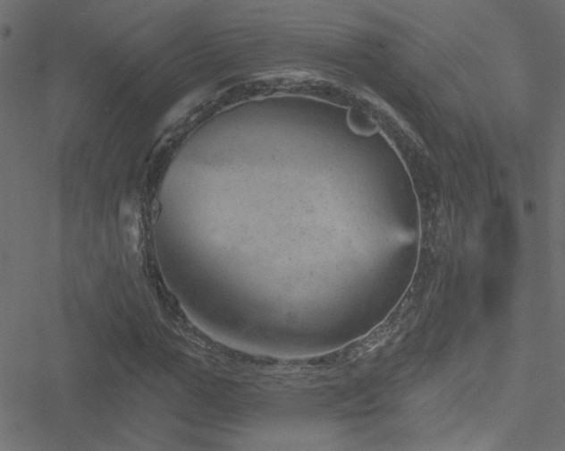 X0000051890967200506241345