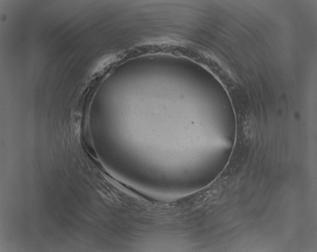 X0000051890968200506241345