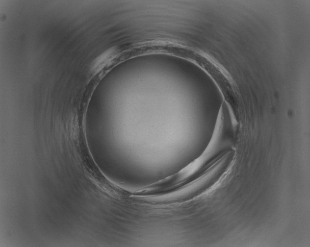 X0000051890969200506241345