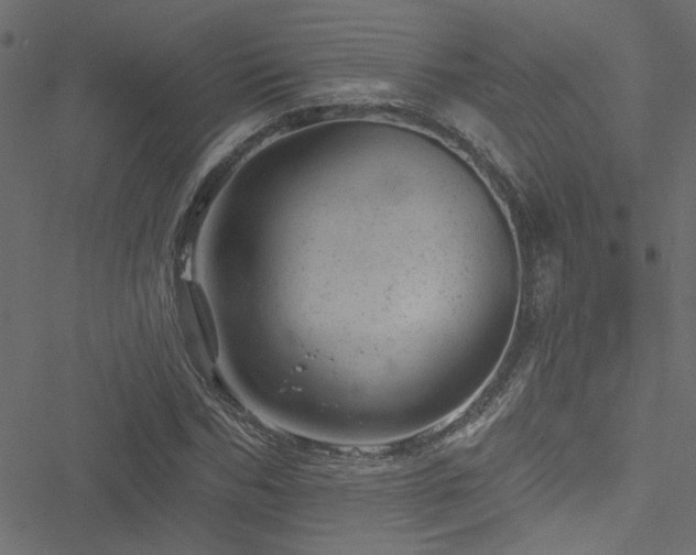 X0000051890970200506241345