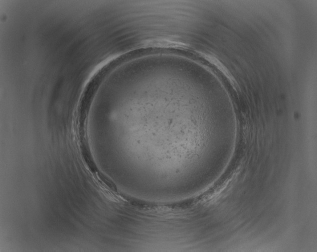 X0000051890971200506241345