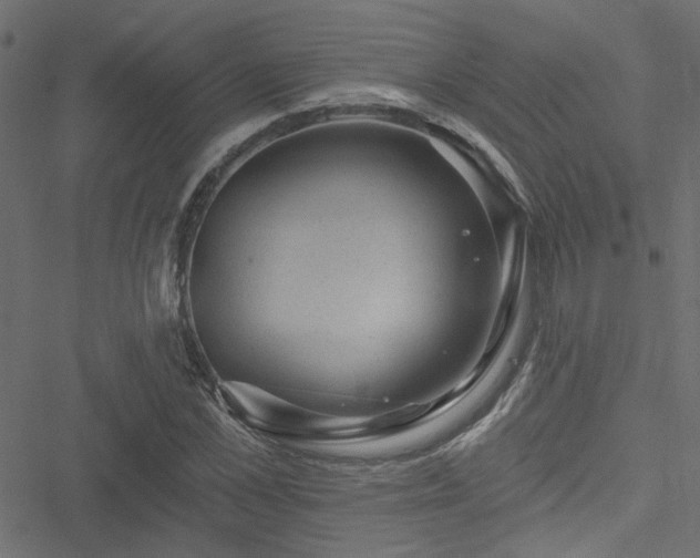 X0000051890973200506241345