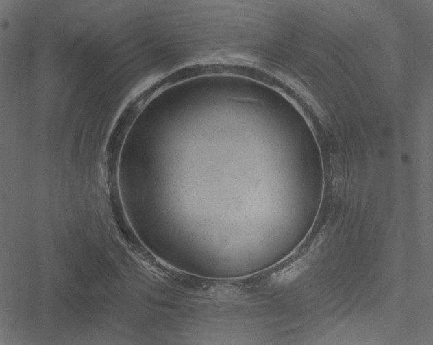 X0000051890974200506241345