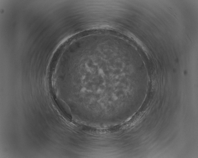 X0000051890975200506241345