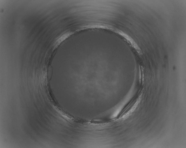 X0000051890977200506241345