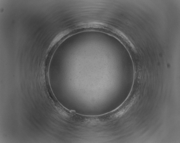 X0000051890978200506241345